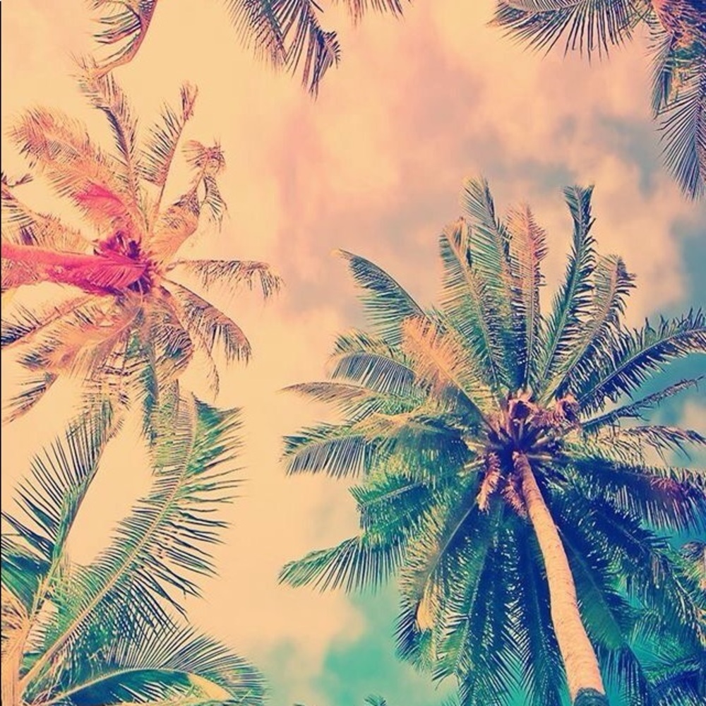 Meet your Posher, Hayden